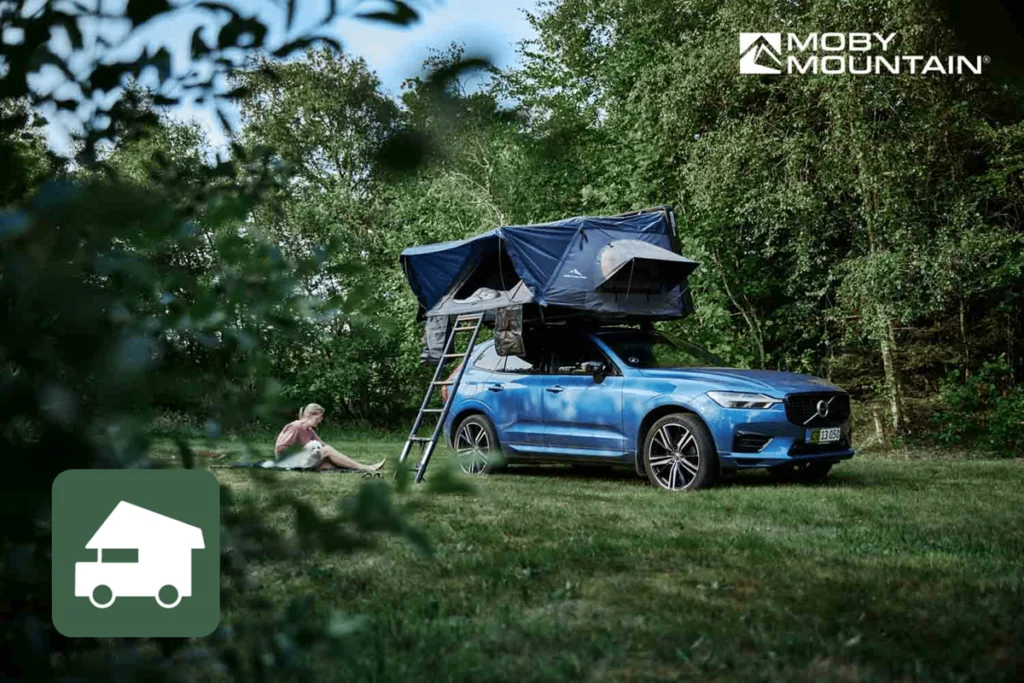 pintrip-landscape-03-2026