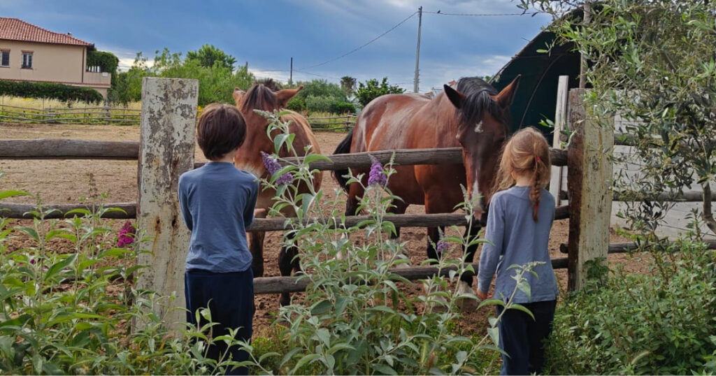 Children, nature and freedom: choose farm stays for your motorhome ...