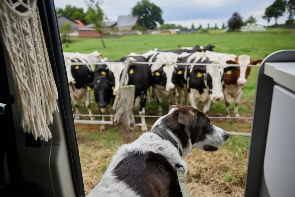 landvergnuegen-landscape-2026-02